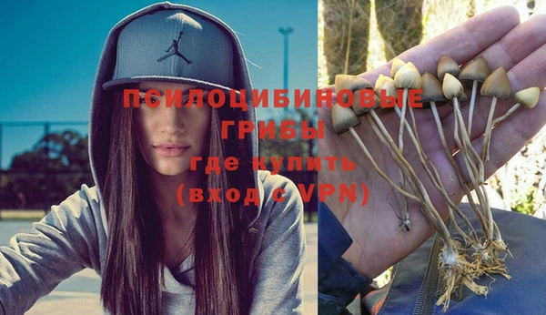 гашик Абинск