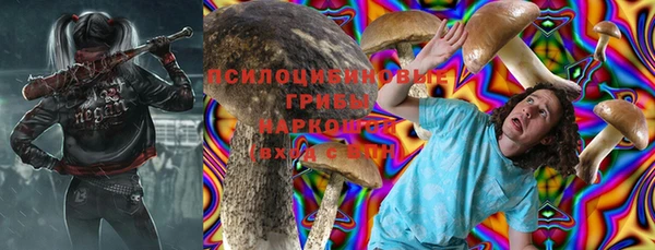 гашик Абинск